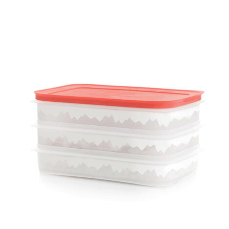 Tupperware Freeze’N Fresh 