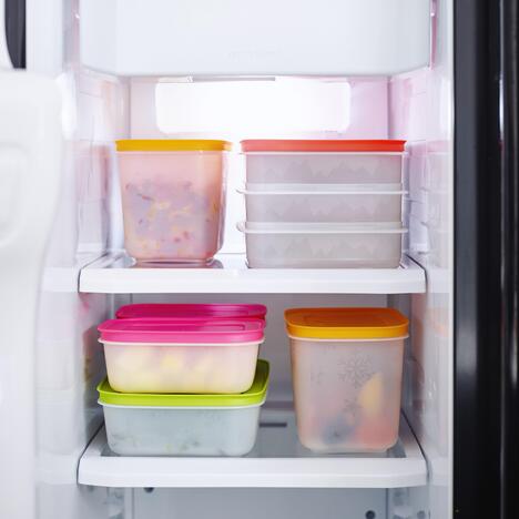 Tupperware Freeze’N Fresh 