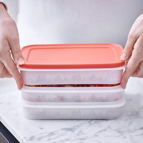 Tupperware Freeze’N Fresh 