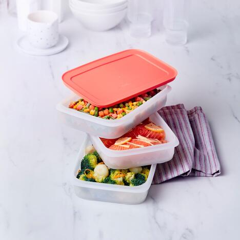 Tupperware Freeze’N Fresh 