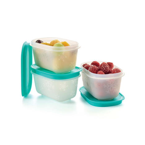 Tupperware Freezer Mates® 170 ml (2) 